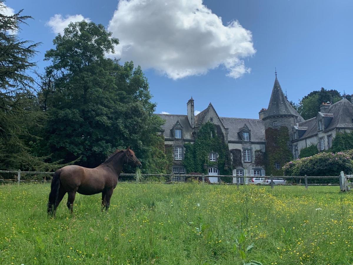 Manoir De Tregaray Hotel Sixt-sur-Aff Exterior photo